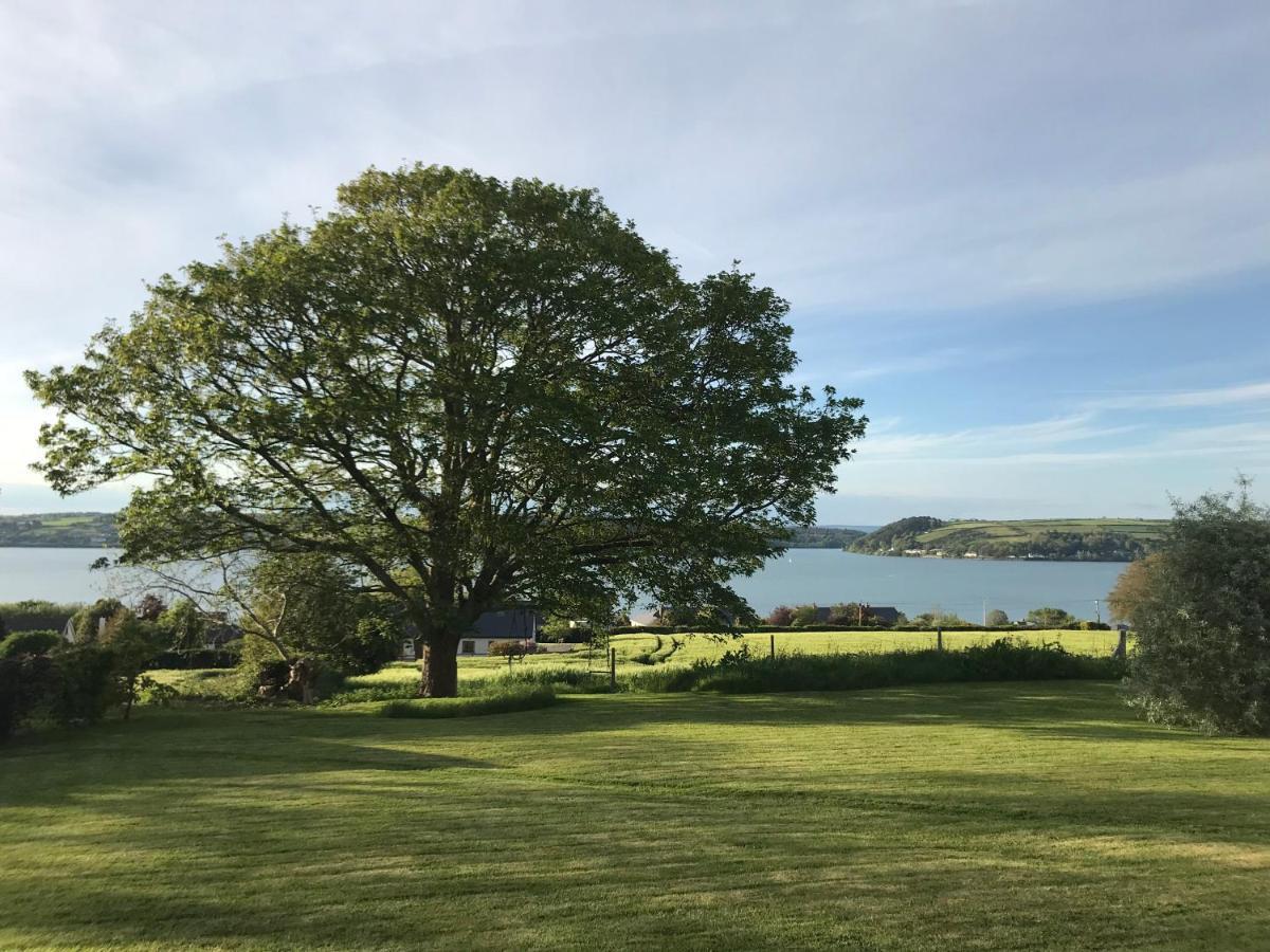 Tranquil Water Bed & Breakfast Midleton Exterior photo