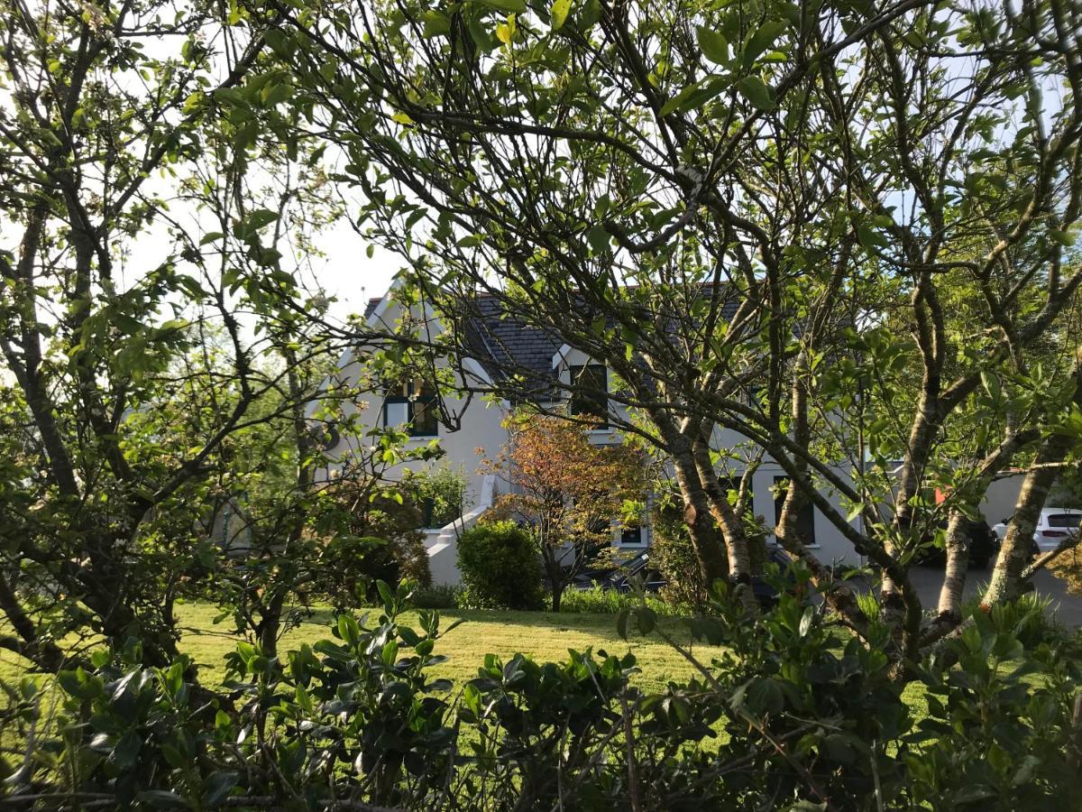 Tranquil Water Bed & Breakfast Midleton Exterior photo