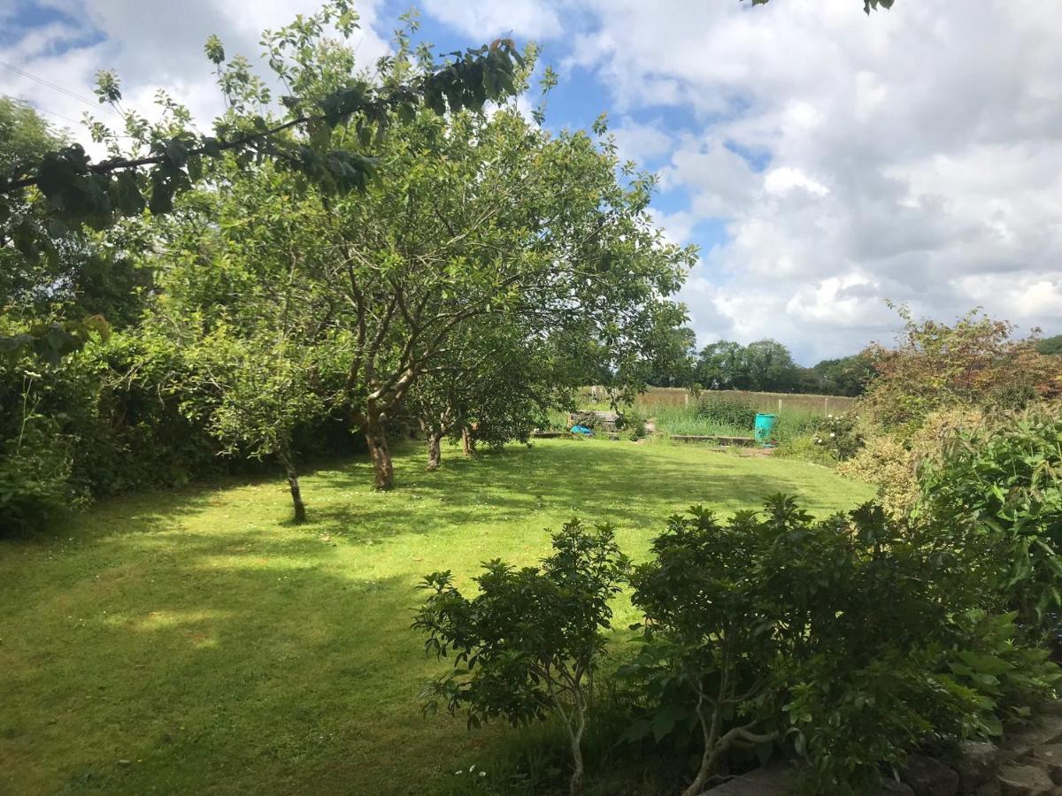 Tranquil Water Bed & Breakfast Midleton Exterior photo