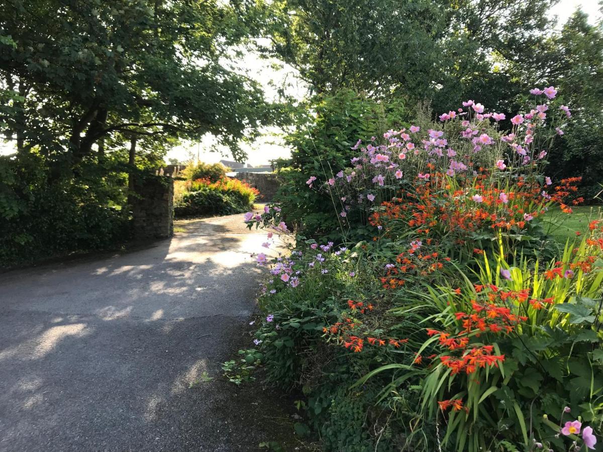 Tranquil Water Bed & Breakfast Midleton Exterior photo