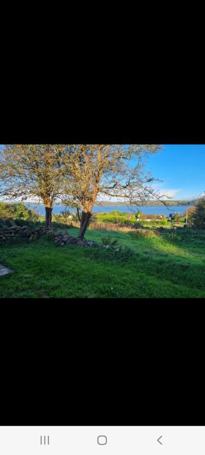 Tranquil Water Bed & Breakfast Midleton Exterior photo
