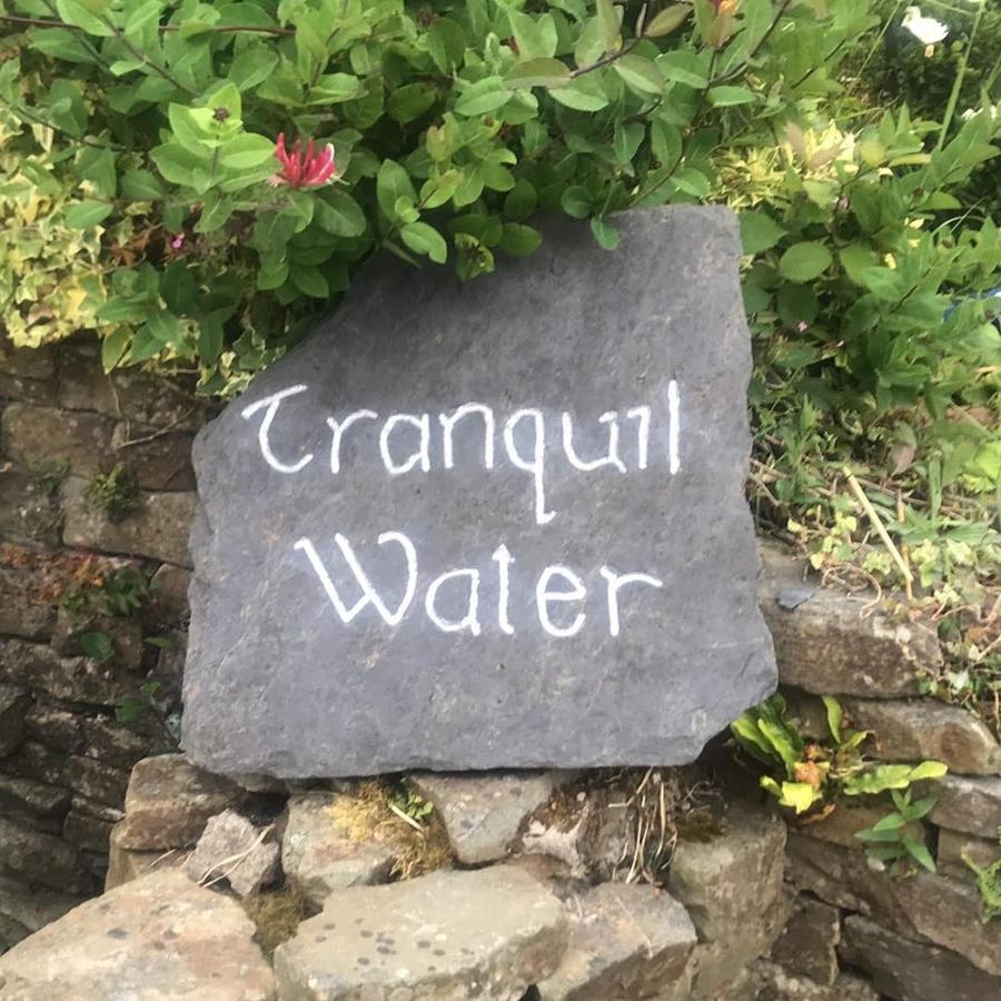 Tranquil Water Bed & Breakfast Midleton Exterior photo