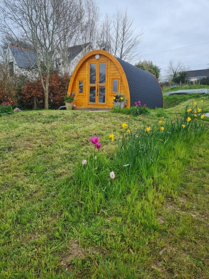 Tranquil Water Bed & Breakfast Midleton Exterior photo